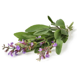 Clary Sage Pure Essential Oil