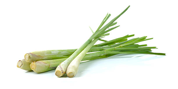 Lemongrass 100% Pure Essential Oil