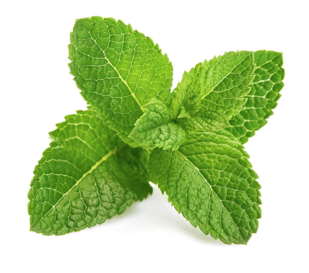 Peppermint 100% Pure Essential Oil