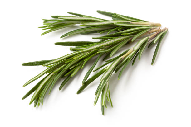 Rosemary 100% Pure Essential Oil
