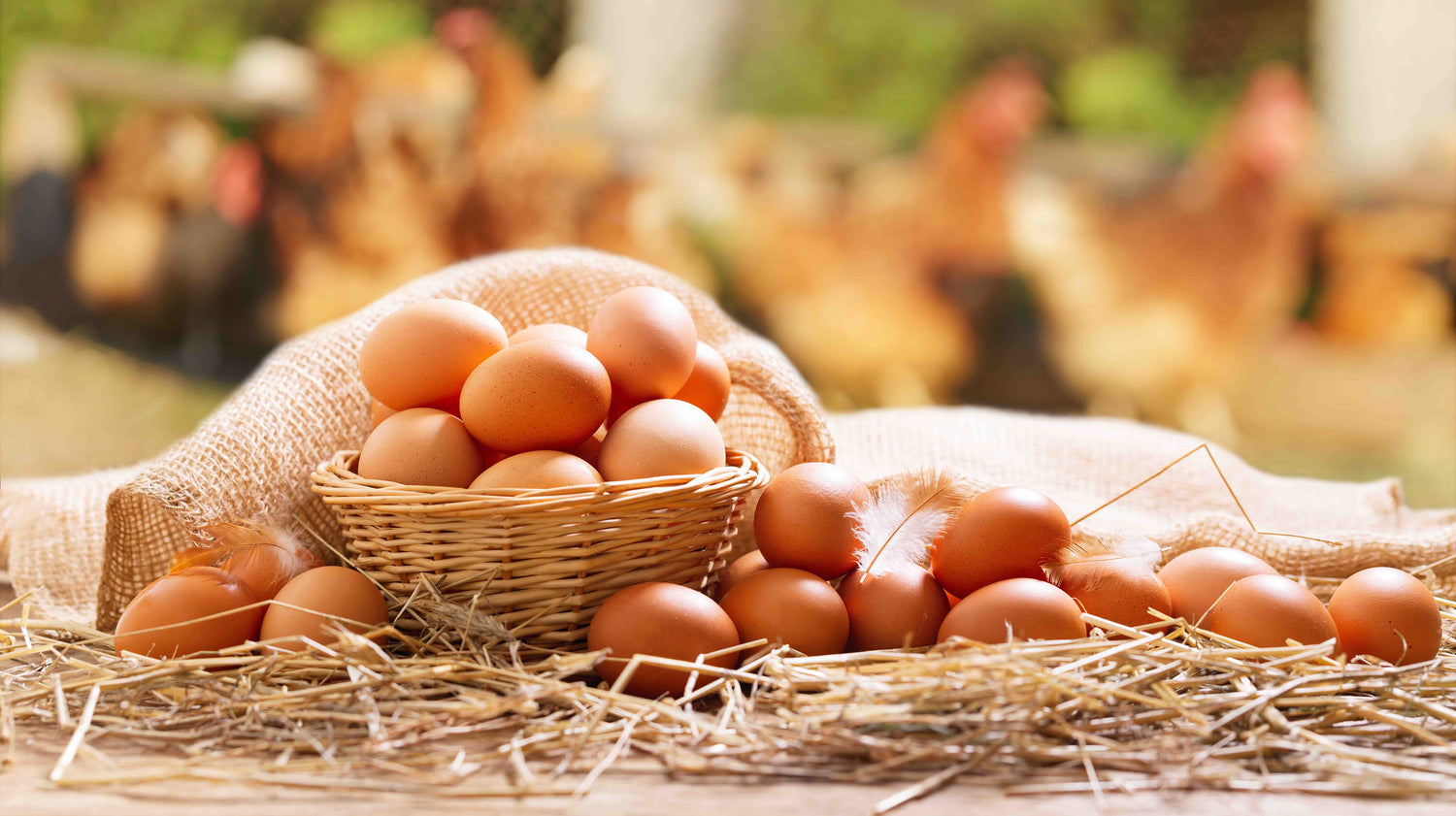 Reasons why eggs are good for you and why you should eat them more often.