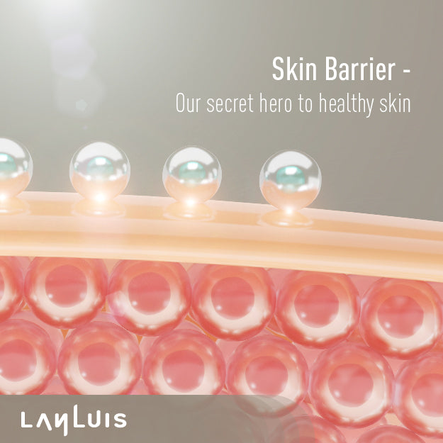 What is Skin Barrier, and why is it so important?