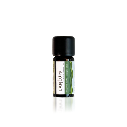 Eucalyptus RadiataPure Essential Oil