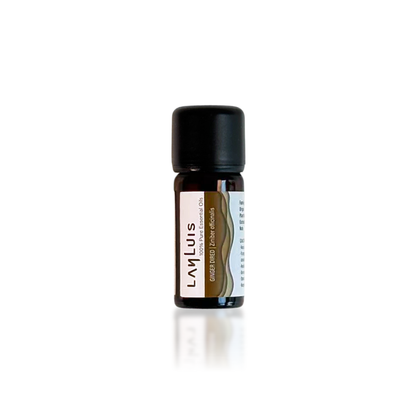 Ginger Dried Pure Essential Oil