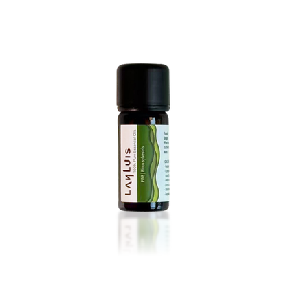 Pine Pure Essential Oil